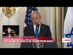 Plan de paix pour Gaza : les célébrations des familles d'otages se font "prudentes" • FRANCE 24