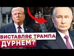 Трамп НЕ ПРИМУСИТЬ Путіна зупинити війну? Європа НЕ БУДЕ гарантувати безпеку України? ПОСЛУХАЙТЕ!