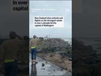 High winds slams New Zealand's capital