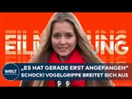 DEUTSCHLAND: Schock in Hessen! Nächster Fall bestätigt! Vogelgrippe breitet sich rasant aus