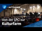 Groß Pankow (Prignitz): Neuer Hotspot für Musiker?