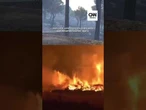 Equipe da CNN visita área devastada pelas chamas na Espanha