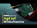 MOMA-Reporter: Wildschweinjagd wegen Schweinepest | ARD Morgenmagazin