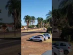 Sombra de árvore 'camufla' quebra-molas e surpreendido motoristas; veja o vídeo