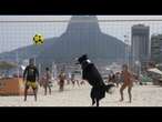 No Comment. Floki , un border collie, star du footvolley