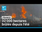France : deux cent cinquante départs d'incendies en vingt-quatre heures • FRANCE 24