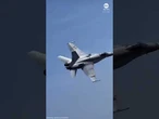 Spanish fighter jet has 'close call' with flock of birds