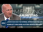 NEUE MERZ-REGIERUNG: Wie kann die politische Mitte die AfD schwächen? | MEINUNG