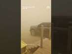 Dust storm hits New Mexico and Texas