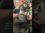 Police rescue dog trapped in rocks