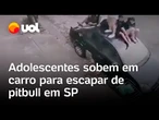 Adolescentes sobem no teto de carro para escapar de ataque de pitbull em São Paulo; veja vídeo