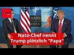 Bizarre Situation: Nato-Chef nennt Trump plötzlich "Papa"