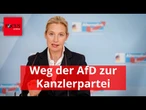 Wie die AfD zur Kanzlerpartei werden könnte