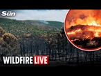 LIVE: Firefighters battle massive wildfire in Condemios de Abajo as 1,200 evacuate Guadalajara