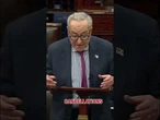 WATCH: Schumer reveals why he voted 'no' on plan to reopen government #shorts #foxnews #politics