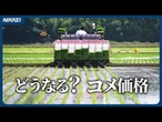 【米価高騰、なぜ？】日本の米作りに難題　急げ、政策の大転換