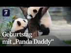 Hongkongs erste Panda-Zwillinge werden ein Jahr alt