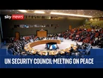 UN Security Council hosts meeting on peace and security