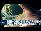 MECKLENBURG-VORPOMMERN: EHEC-Infektionen mehr als verdoppelt! Landesgesundheitsamt meldet 43 Fälle!