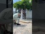 Adorable dog chooses bride for wedding day nap