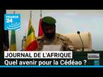 Nouvelle Confédération des Etats du Sahel, la passerelle avec la CEDEAO possible ? • FRANCE 24