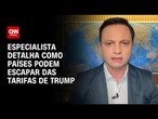 Países podem redirecionar comércio após tarifas dos EUA, diz especialista | AGORA CNN
