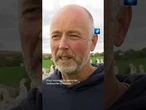 Mit dem Vogelzug breitet sich im Herbst auch die Vogelgrippe wieder aus #Vogelgrippe #shorts