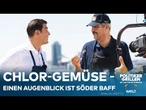 POLITIKERGRILLEN: Gewaschenes Gemüse und Mütterrente - Da hat Markus Söder eine klare Meinung