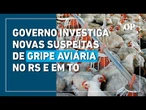 Gripe aviária: Governo apura novos casos suspeitos em local próximo ao foco inicial e em Tocantins