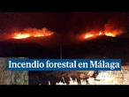 Una docena de medios aéreos luchan contra el incendio forestal de Parauta (Málaga)