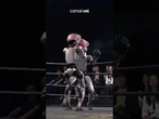 Robôs se enfrentam em luta de ringue na China; veja vídeo