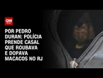 Polícia prende casal que roubava e dopava macacos no RJ | AGORA CNN