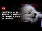 Cachorro salva tutores de ataque de drones russos na Ucrânia, diz família | BASTIDORES CNN