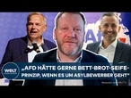 AFD: Polit-Experte erklärt! So unterscheiden sich die Programm in MV und Sachsen-Anhalt!