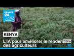 Agriculteurs kenyans : l'IA pour améliorer leur rendement • FRANCE 24