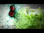 Cyclospora outbreak from tainted lettuce served at Taco Bell expands