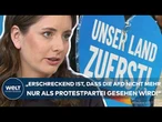 AFD AUF REKORDHOCH: „Erschreckend ist, dass die AfD nicht mehr nur als Protestpartei gesehen wird!“