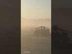 Burning Man SLAMMED by brutal dust storm!