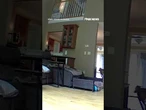 WATCH: Video captures dog spooked by meteor that exploded over Massachusetts #dog #shorts #dogs