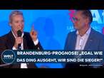 LANDTAGSWAHL IN BRANDENBURG: AFD! Trotz Platz 2 - Chrupalla und Weidel feiern Hochrechnung