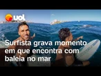 Surfista grava momento em que encontra com baleia em praia de Salvador; veja vídeo