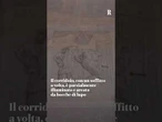 Per la prima volta apre al pubblico il corridoio segreto del Colosseo: era usato dagli imperatori