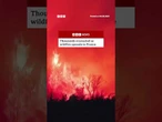 The wildfire has burned an area larger than Paris #Wildfire #France #BBCNews