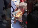 Tartaruga Caretta caretta impigliata in una rete da pesca in Cilento viene liberata