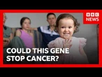 The community that might hold the key to treating cancer | BBC News
