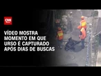 Urso invade cidade no Japão e fecha 94 escolas; veja captura do animal