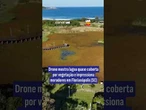 Drone mostra lagoa quase coberta por vegetação e impressiona moradores em Florianópolis (SC)