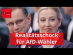 Vielen AfD-Wähler droht ein Realitätsschock, nur der Zeitpunkt ist noch unklar