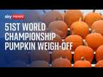 The 51st World Championship Pumpkin Weigh-Off