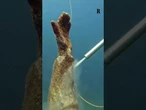 I sommozzatori ripuliscono il Cristo degli Abissi nel mare di Camogli